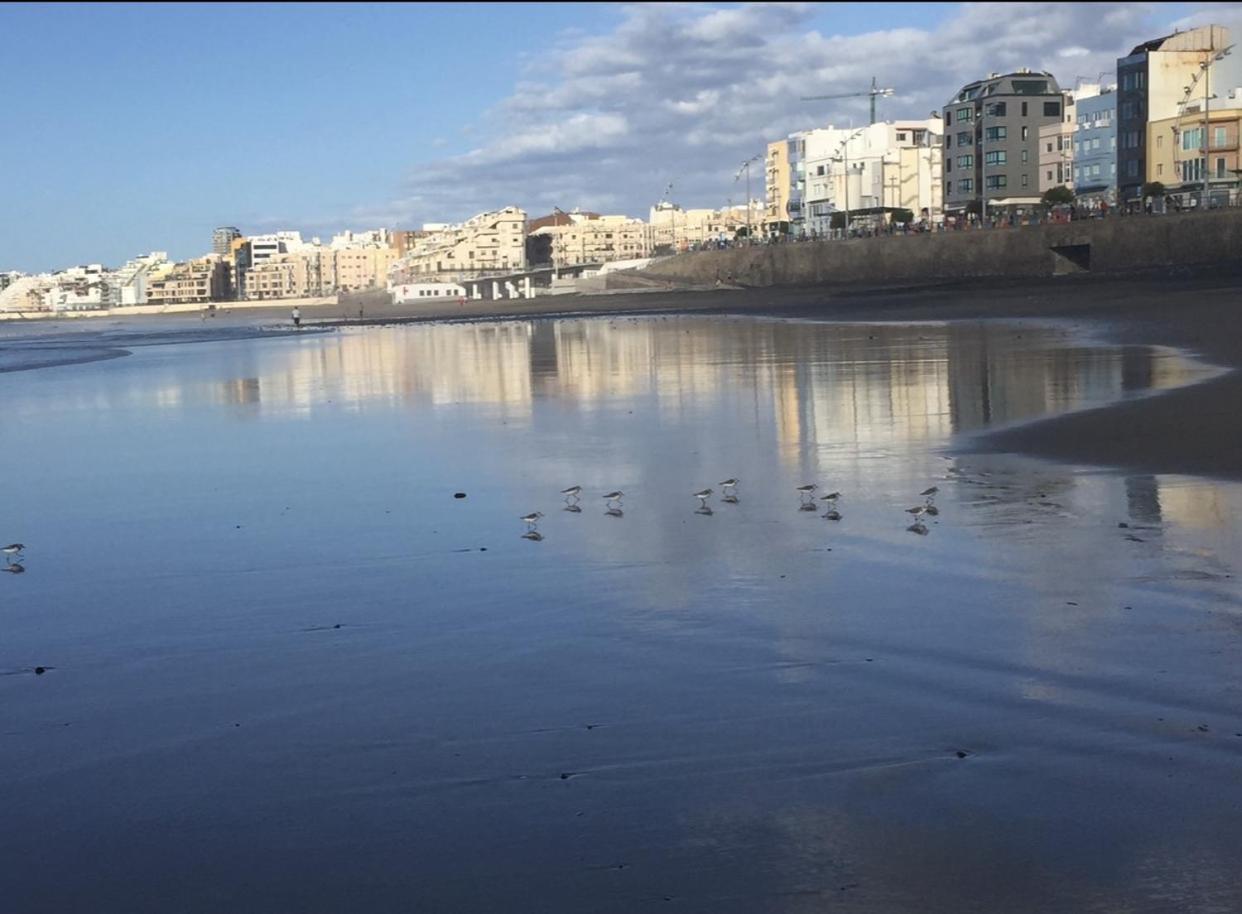 Las Canteras Beach Лас-Пальмас-де-Гран-Канария Экстерьер фото